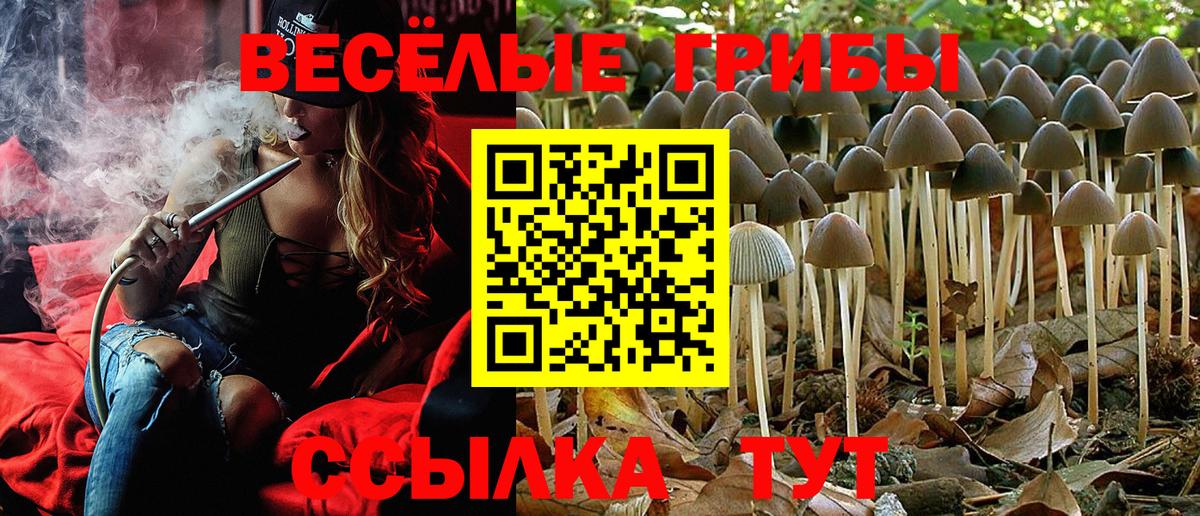 Галлюциногенные грибы Magic Shrooms Балахна