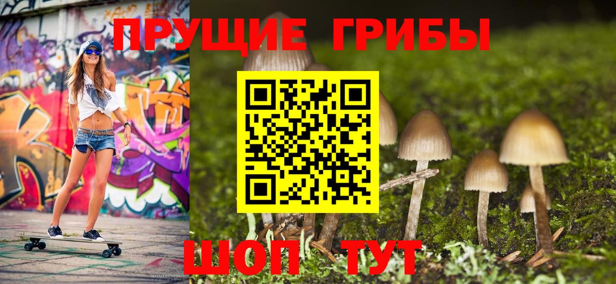 Псилоцибиновые грибы Psilocybe  Вход с VPN  Галлюциногенные грибы Psilocybe  Балахна 